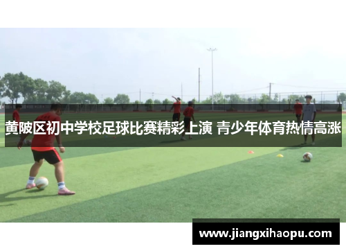 黄陂区初中学校足球比赛精彩上演 青少年体育热情高涨
