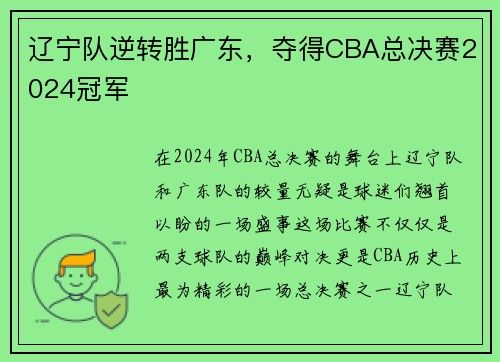 辽宁队逆转胜广东，夺得CBA总决赛2024冠军